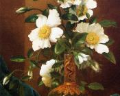 White Cherokee Roses in a Salamander Vase - 马丁·约翰逊·赫德